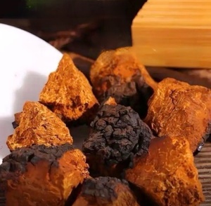 KAIYANGE - Hongo Chaga Seco Orgánico al por Mayor, Material Crudo en Polvo <span class=keywords><strong>de</strong></span> Alta Calidad y Económico, Hongo Chaga Marrón - Product Image 5