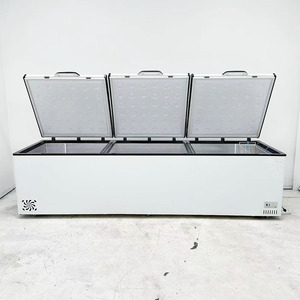 Congelador superior profundo Refrigeradores Congelador de pecho 2000 litros Congeladores de pecho 200l Pies de inglete - Product Image 4