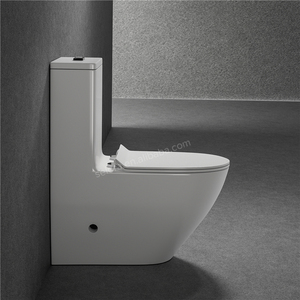 Bán Sỉ Tủ Đựng Nước Xả Kép Phòng Vệ Sinh Bằng Gốm S-trap/P-trap Một Mảnh Phòng Vệ Sinh Cho Phòng Tắm - Product Image 3