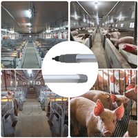 Éclairage LED tubulaire pour élevages de porcs/poulets OEM T8/T10, résistant à la corrosion, sans scintillement, 220V, étanche IP67