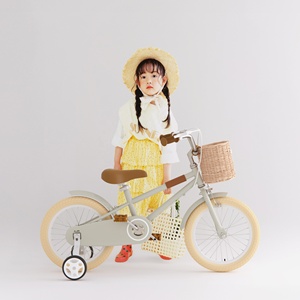 2024 Vélo pour enfants de 20 pouces avec roues auxiliaires Fourche en acier à vitesse unique Pédale ordinaire Gris pour petites filles de 7 à 15 ans - Product Image 2