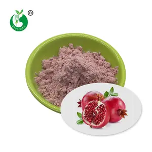 Organic Pomegranate Fruit Juice Powder Bulk Pomegranate Juice Powder