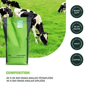 15 kg Meadow <span class=keywords><strong>Grass</strong></span> Garden Sow Bag Paquete de plantas Kit Perenne <span class=keywords><strong>Rye</strong></span> <span class=keywords><strong>Grass</strong></span> Cerdas para plantar pastoreo intensivo Producción de forraje de heno - Product Image 2
