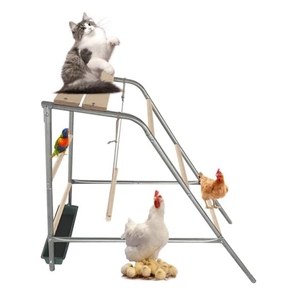 Juego de Parque de Juegos Personalizado para Gallineros con Percha de Metal y Madera, Parque de Entrenamiento para Aves, Percha para <span class=keywords><strong>Gallinas</strong></span> y Pavos - Product Image 1
