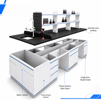 Table de laboratoire moderne en métal durable avec évier et armoire, 4 tiroirs, revêtement en poudre époxy, poste de travail en acier inoxydable pour laboratoire de chimie