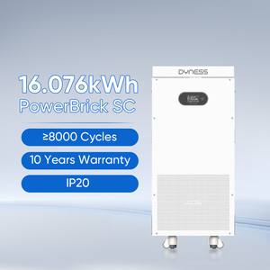 Batería Solar <span class=keywords><strong>Dyness</strong></span> POWERBRICK SC de Alta Eficiencia, 8000 Ciclos, Protección, Montaje en Pared, 16kwh, 51.2v, 314ah, <span class=keywords><strong>BMS</strong></span> Inteligente - Product Image 1