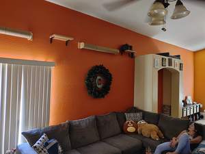 أثاث حديث على شكل قطة, أثاث عصري على شكل قطة ، يستخدم في التسلق ، يستخدم في أرفف حائط مختلفة الأشكال بأرجوحة للقطط - Product Image 6