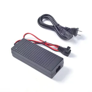 Lage Prijs Auto Omvormer Power Adapter 12V Gecomprimeerde Auto Koelkast Adapter