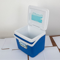 Glacière portable de camping verte 15L avec sac à glace et emballage personnalisé pour la pêche et la conservation au frais des plats à emporter
