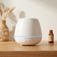 Diffuseur d'huiles essentielles ultrasonique portable à brume froide alimenté par USB, éclairage LED, design écologique, 101-200 ml