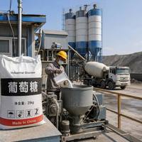 Zhendong Schlamm-Entwässerungsmittel Dextrose-Monohydrat-Pulver 99,99% Reinheit Industriequalität Shandong China Hersteller 80000MT