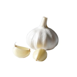 Vente chaude 5cm-6cm <span class=keywords><strong>Ail</strong></span> chinois frais Organique <span class=keywords><strong>Tête</strong></span> crue Inodore Violet Blanc Rouge Maille Direct Grossiste Stockage <span class=keywords><strong>à</strong></span> sec Premium - Product Image 1