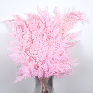 Fiori Secchi e <span class=keywords><strong>Felce</strong></span> in Pelle Preservata Best Seller per Decorazioni Domestiche per la Celebrazione del Capodanno Cinese - Product Image 4