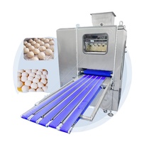 Machine automatique de division et de façonnage de pâte à pain, coupe-pâte à pain, diviseuse et façonneuse de petits pains, façonneuse de pâte à vendre