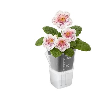 Jardinière carrée auto-arrosante épaissie pour semis, avec conception de séparation sec/humide, <span class=keywords><strong>pot</strong></span> de fleurs minimaliste en plastique pour plantes succulentes - Product Image 5