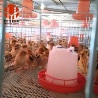 Cage de couvaison industrielle de type H en métal, équipement complet d'élevage avicole pour projet commercial d'élevage de poulets pondeurs