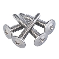 Vis autoperceuse à tête rondée SS410 pour fixation de tôles métalliques 16MM-50MM