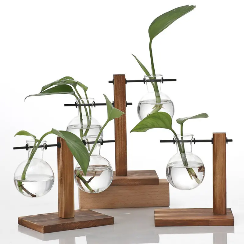 Glass vase terrarium hydroponic plant transparent vase wooden stand tabletop glass vase decoration