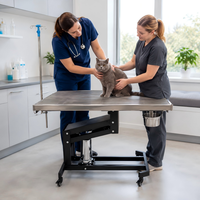 Table vétérinaire électrique en acier inoxydable XY ACS01 avec contrôle de chauffage, élévateur à ciseaux stable et surface facile à nettoyer