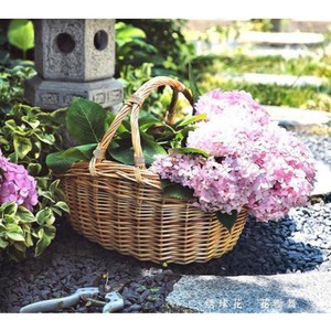 Bunny Gift Cheap <strong>Wicker</strong> <strong>Baskets</strong> <strong>with</strong> Handle Wholesale Manufacturers <strong>Wicker</strong> Picnic <strong>Basket</strong> - Product Image 3