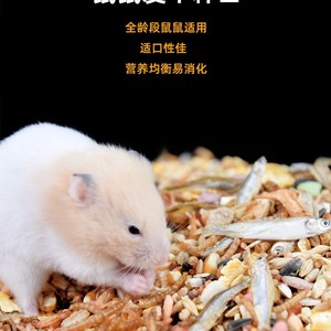 Alimento Básico para Hámsteres Golden Hamster, 1250 ml, Alimento Deluxe para Hámsteres, Contenedor de Plástico Reutilizable - Product Image 4