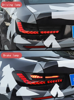 ODPS Dragon Scale Design Adapt pour BMW 104 Deuxième Génération F30 Single Dragon Scale 2013 - 2018 Modèle Feux Arrière ODPS30002