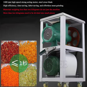 Trituradora de Huesos Profesional de 220V, Picadora de Carne Eléctrica Comercial, Picadora de Pollo, Máquina Deshuesadora Doméstica - Product Image 4