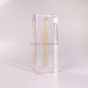 Spécimen en résine, artisanat en résine, mini ornements de <span class=keywords><strong>champignons</strong></span> réels, spécimen de cristal naturel original pour cadeau d'enfant - Product Image 6