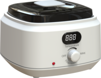AX-200A chauffe-cire professionnel chauffe-cire épilation Machine épilation cire fond trempage Pot dépilatoire Spa soins Depilatoria