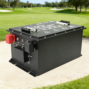 Batería para Carro de Golf A105 Split 51.2V 105Ah |   Comunicación CAN |   Indicador de Carga BMS Integrado |   Kit de Conversión Completo - Product Image 1