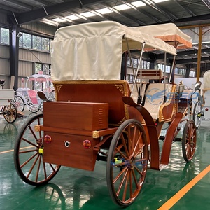 Charrette de mariage victorienne, calèche de Cendrillon pour le tourisme, chariots de chevaux électriques pour visites touristiques, capacité de 6 personnes, 60 - Product Image 6
