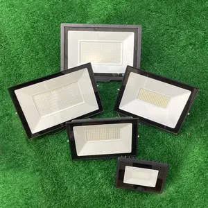 Factory direct supply waterproof IP66 led Highlight white light LED flood light Garden lights