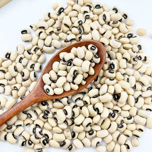 <span class=keywords><strong>Fagioli</strong></span> Bianchi a Occhio Nero <span class=keywords><strong>in</strong></span> <span class=keywords><strong>Scatola</strong></span> per l'Esportazione - Product Image 6