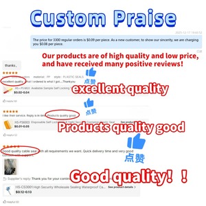 ซีลพลาสติกพิมพ์ลายตามสั่ง ซีลมิเตอร์แบบใช้แล้วทิ้ง ซีลพลาสติกนิรภัยสำหรับมิเตอร์ไฟฟ้า มิเตอร์น้ำ - Product Image 4