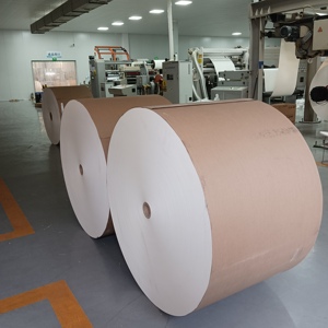 กระดาษเคลือบ PE เกรดอาหาร จัดส่งตรงจากโรงงาน - Product Image 3