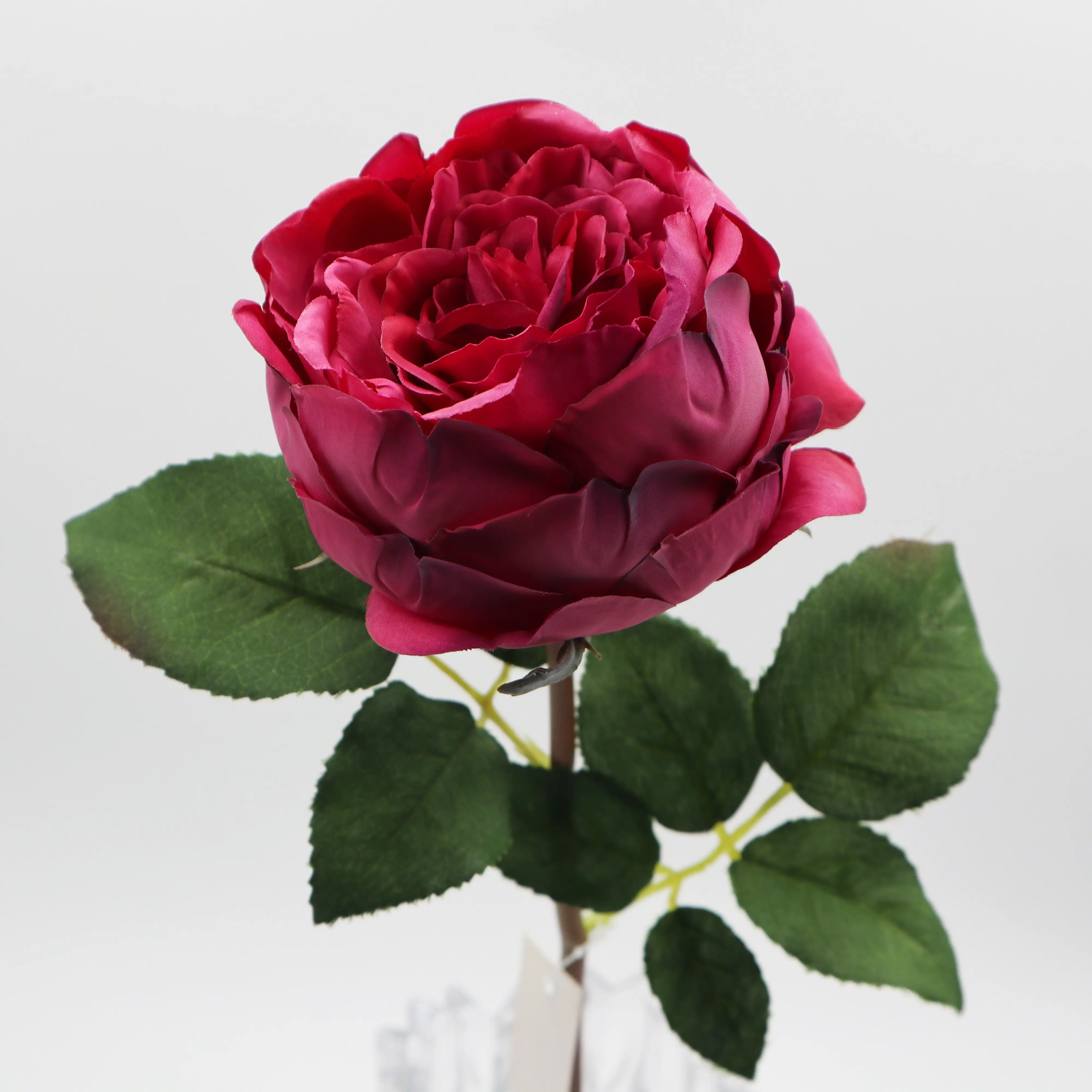 Commercio all'ingrosso di alta qualità di seta artificiale David Austin rosa cavolo rosa fiore vero tocco finto decorazione di nozze nuovo arrivo