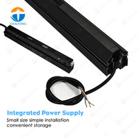 Spot magnétique en aluminium 48V, lampes sur rail Tuya Wifi, éclairage sur rail magnétique intelligent LED, système de rail pour plafond tendu