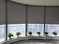 Persiana enrollable eléctrica SOMFY al por mayor, cortina con guía de riel para fachada de edificio comercial