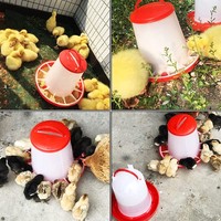 Équipement d'élevage avicole anti-gaspillage, mangeoire automatique pour volailles de 1,5 kg avec poignée, facile à nettoyer, mangeoire pour poussins