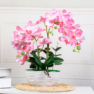Orchidée Phalaenopsis Artificielle Réaliste en Pot, Double Tige, Composition Florale en Soie pour Décoration de Table Maison et Bureau, Style Nordique - Product Image 1