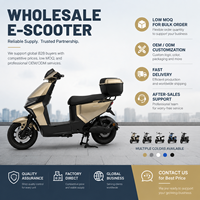 Trottinette Électrique Commuter E-Moped Or Champagne Phare LED Top Box Conduite Urbaine Adulte Vente en Gros Usine OEM Directe
