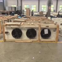 Enfriador de Aire de Techo Serie DJ, Evaporador para Cámaras Frigoríficas de Baja Temperatura, -25°C, Descongelación Eléctrica, OEM