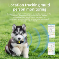 Traceur GPS de pointe à chargement magnétique, étanche IP67, grande autonomie, suivi en temps réel, compatible Web et APP, pour la sécurité des animaux de compagnie, batterie 5 ans