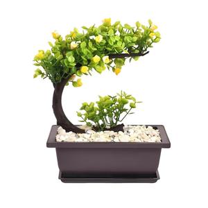 Vaso Quadrato in PP Multi-Misura per <span class=keywords><strong>Bonsai</strong></span> e Piante Grasse, Ecologico e Leggero, per Esterni/Interni con Foro di Drenaggio - Product Image 6