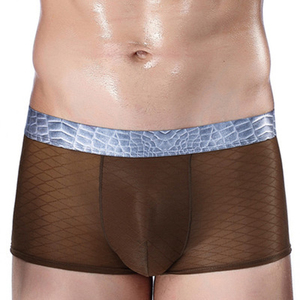 Fabrication Fourniture Slips et boxeurs <span class=keywords><strong>sexy</strong></span> érotiques transparents pour hommes Boxer en maille respirante avec gros pénis bombé - Product Image 5