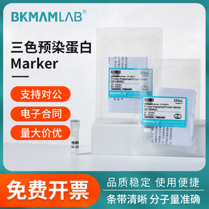 Marcador de Proteínas Preestablecido Bikman Bio Tricolor 10-250KD para Electroforesis - Product Image 3
