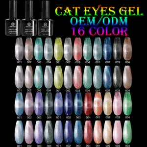 16 Color Diamond Cat Eye Gel Star Reflective 9D Effect Nail Art Supplier Nail Polish UV Gel