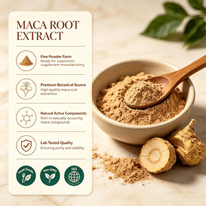 B.C.I SUPPLY Extracto <span class=keywords><strong>de</strong></span> Raíz <span class=keywords><strong>de</strong></span> <span class=keywords><strong>Maca</strong></span> <span class=keywords><strong>Negra</strong></span> en <span class=keywords><strong>Polvo</strong></span> <span class=keywords><strong>de</strong></span> Alta Calidad - Product Image 1