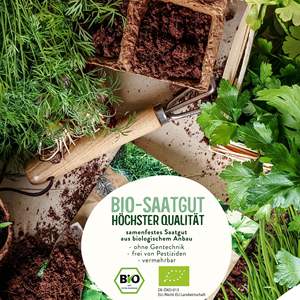 Kit de plantes de jardin de truies organiques de 10 types pour plantes de thé médicinales, épices sauvages, truies pour la plantation incluses - Product Image 5