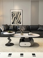 Table basse moderne de dernière génération pour salon, appartement, villa, ensemble de tables centrales, table d'angle ovale en marbre pour la maison